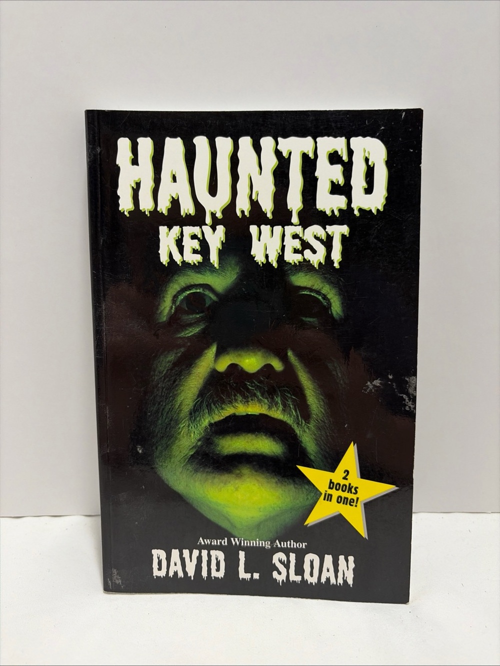 "Haunted Key West" Paranormal Thriller Book